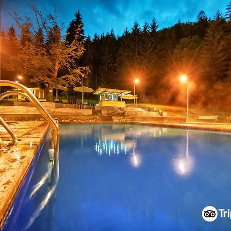 Day In Borjomi Apartment Exterior foto